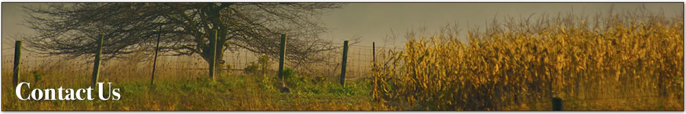 Beekist Acres - Contact Us