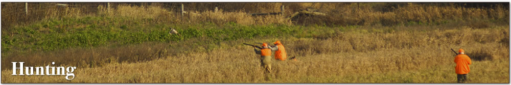 Beekist Acres - Hunting