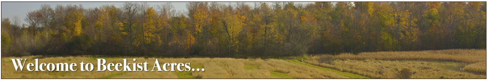 Welcome to Beekist Acres, Oxford County, Southern Ontario - Game Bird Preserve